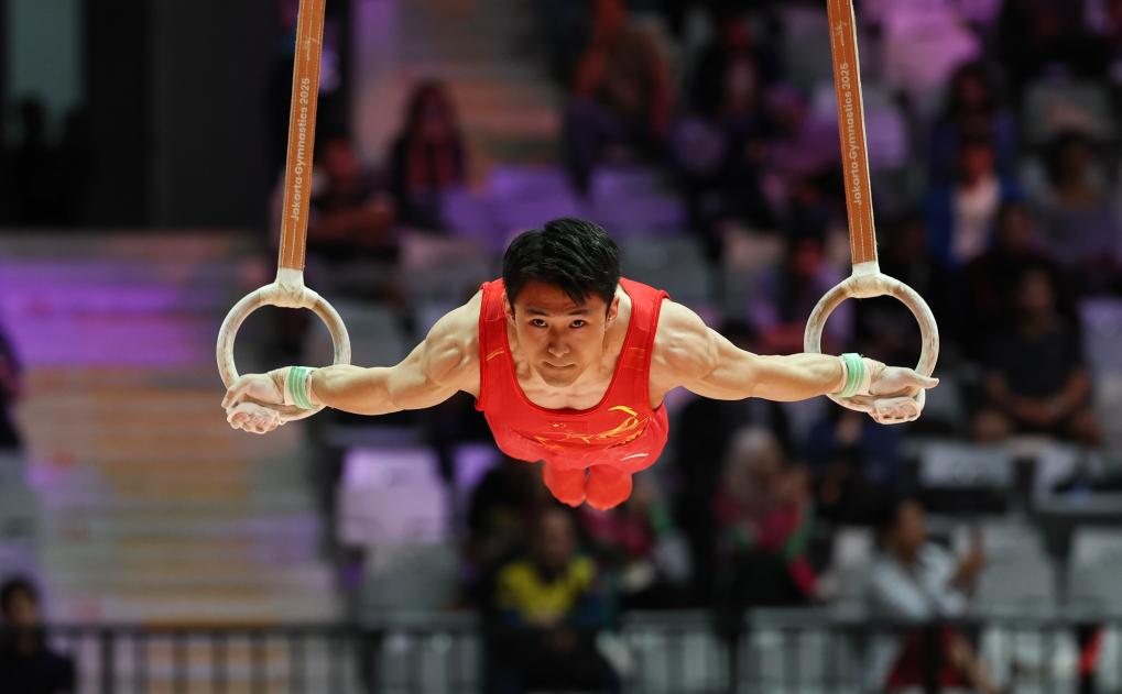 越来越好, 新华社雅加, 子个人全能 越来越好, 新华社雅加, 子个人全能